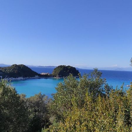 Margarita Apartments Paxos - Studio Kam Лакка Экстерьер фото
