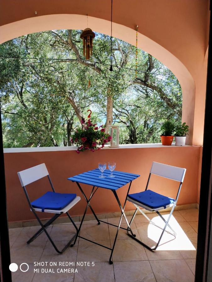 Margarita Apartments Paxos - Studio Kam Лакка Экстерьер фото
